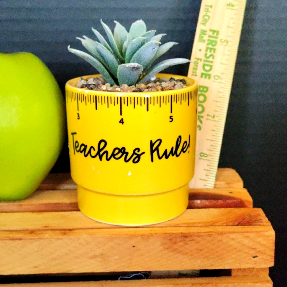 Planter for teacher with faux succulent